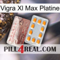 Vigra Xl Max Platinum new13